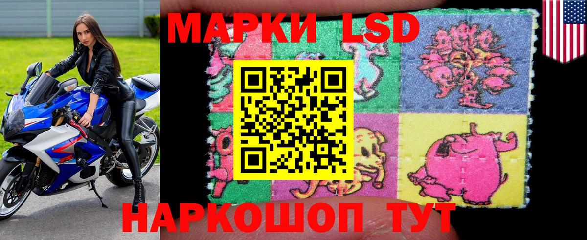 Наркотические марки 1500мкг Советск