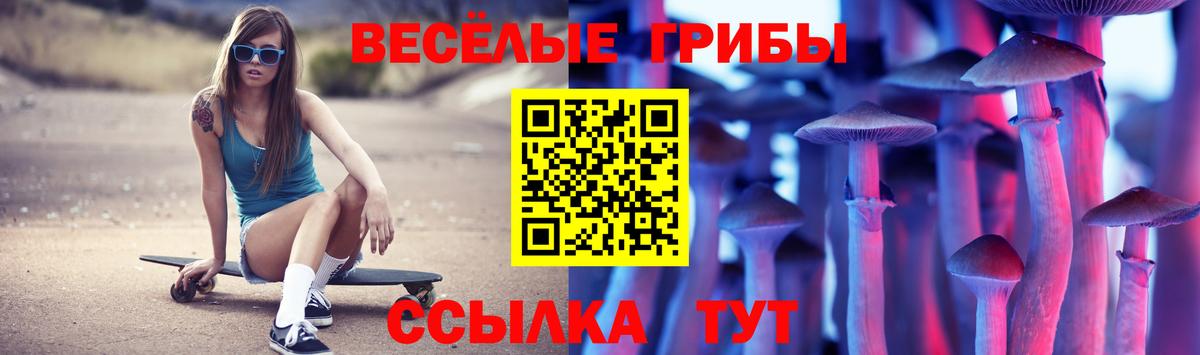 Советск  закладка  Вход с VPN  Псилоцибиновые грибы мицелий 
