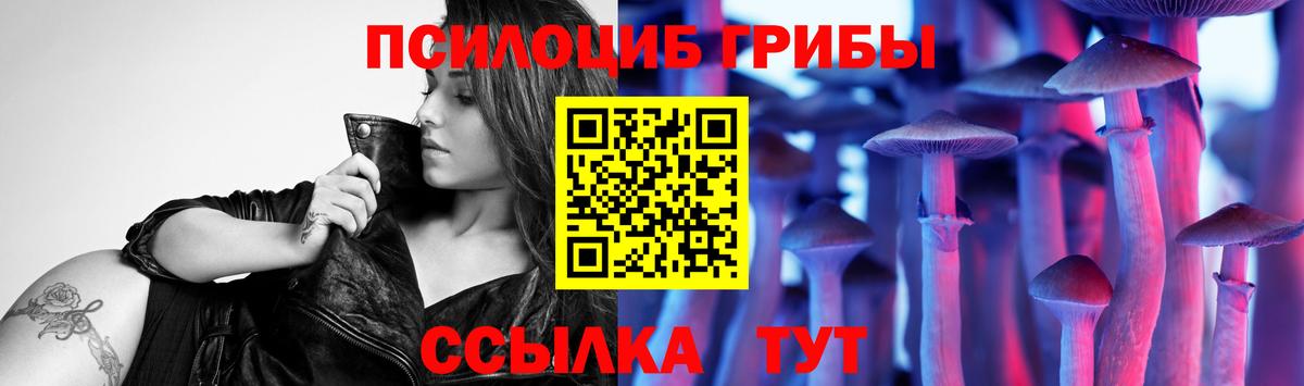 Псилоцибиновые грибы Magic Shrooms Советск